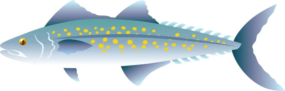 Mackerel Illustration Stock Illustration