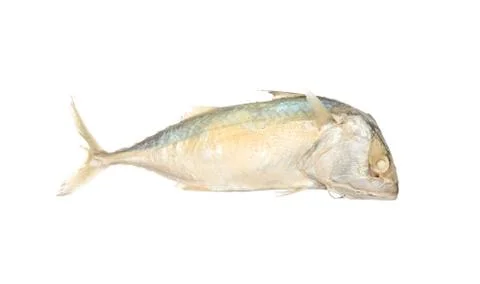 Mackerel isolated on white 스톡 사진