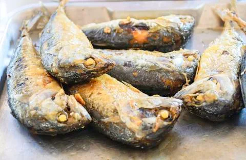 Mackerel Stock Photos