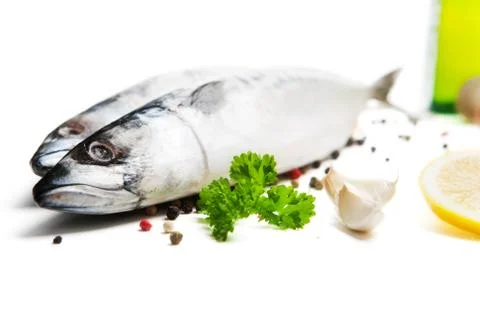 Mackerel Stock Photos