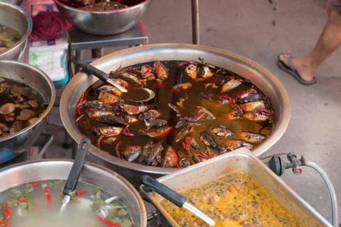 MACKEREL Stock Photos