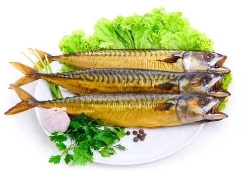 Mackerel Stock Photos