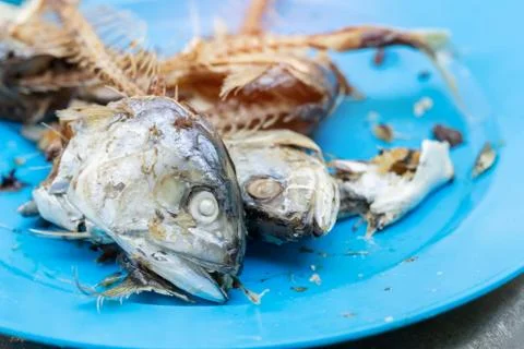 Mackerel on the plate Foto stock