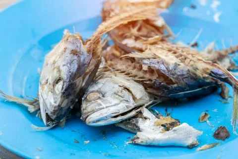 Mackerel on the plate Stock Photos