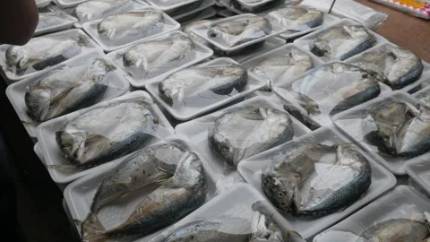 Mackerel (Rastrelliger brachysoma) in package. Stock Footage 307286619