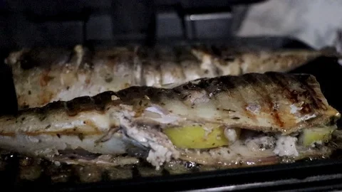 Mackerel is roasted on an electric grill. Grilled fish with lemon and salad Stock Footage 101028799