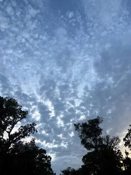 Mackerel Sky Clouds Framed by Dark Tree Silhouettes Stock Photos