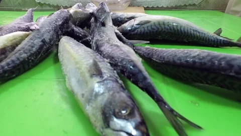 Mackerel on the table. Fish are pulled out of the bag. Raw frozen fish. Stock Footage 83965104