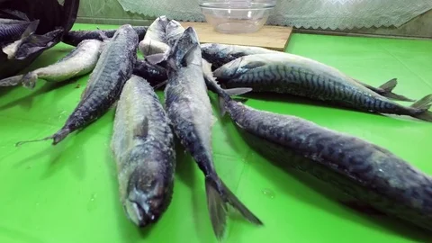 Mackerel on the table. Fish are pulled out of the bag. Stock Footage 83965329