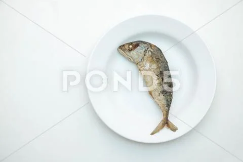 Mackerel in white dish Stock Photos