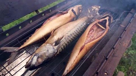 Mackerels in the marinade on the grill Stock Footage 239341264