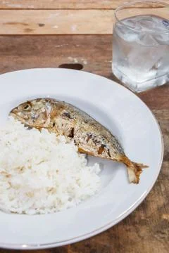 Mackerels Foto stock