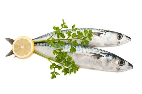 Mackerels Stock Photos