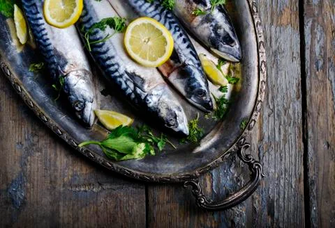 Mackerels on silver plate Stock-Fotos