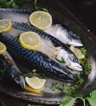 Mackerels on silver plate Stock-Fotos