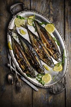 Mackerels on silver plate Stock Photos