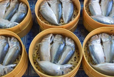 Mackerrel Fish Stock Photos