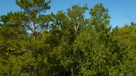 Mackinac Bridge Stock Footage 68000463