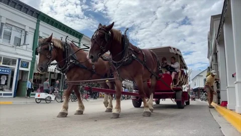 Mackinac carriage Stock Footage 216829502