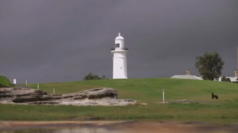 Macquarie Lighthouse Slow motion dog in Sydney coastline 4K Stock Footage 149731183
