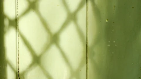 Macrame Lattice Shadows Fall Diagonally Across A Pale Green Wooden Wall Stock Footage 335542537