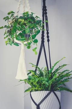 Macrame plant hanger Foto stock
