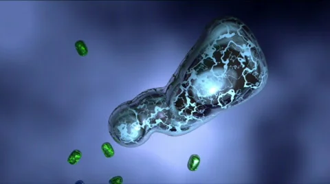 Macraphage (White Blood Cell) Top Stock Footage 152824