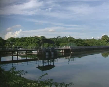 MacRitchie drinking water Reservoir Stock Footage 20519374