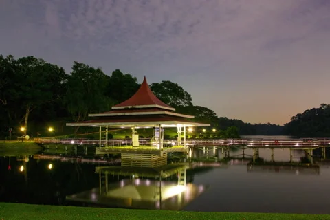 Macritchie reservoir night clouds pavilion hyperlapse move left Stock Footage 148147963