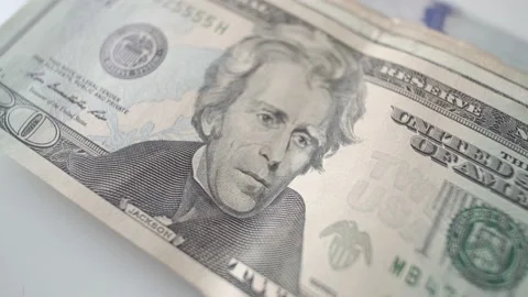 Macro 20 American Dollar. Stock Footage 175331569