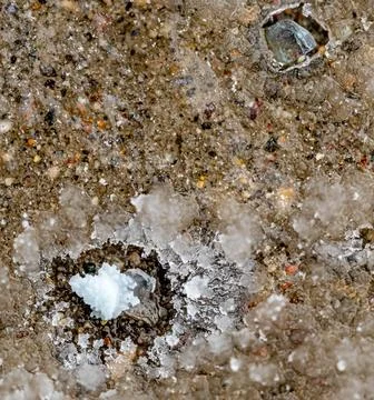 Macro above view of a single rock salt ice-melt on concrete with a frozen layer Stock Photos