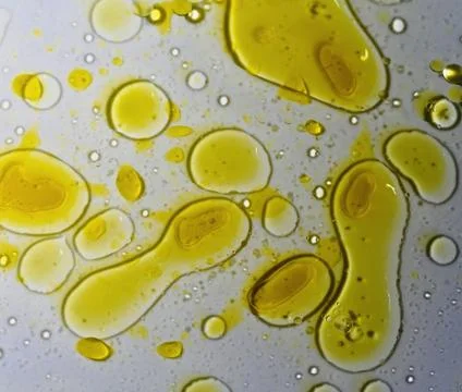 Macro abstract background of bright yellow olive oil droplets suspended in water Stock Photos
