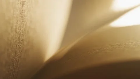 Macro Abstract Book Pages Soft Focus, Extreme Close Up Slow Motion Stock Footage 347501495