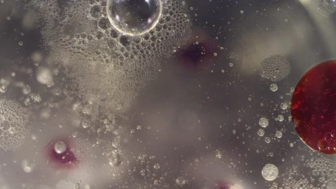 Macro abstract of clear and red bubbles moving on a liquid textured background Video stock 118278988