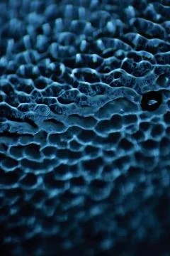 Macro of abstract glass texture Stock Photos