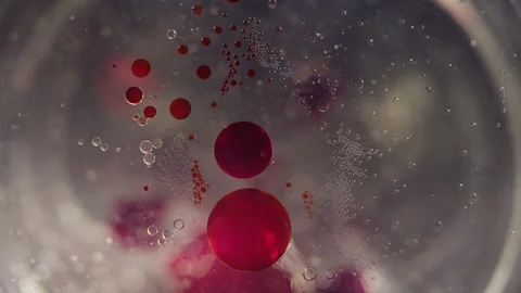 Macro abstract of red and clear liquid bubble cells coming together texture Stock-Footage 118279510