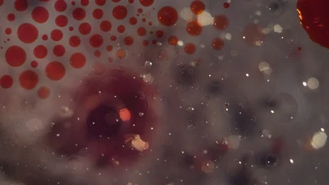 Macro abstract red and clear liquid bubbles motion together texture background Video stock 118281135