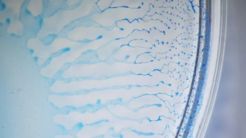 Macro abstract view of blue alcoholic ink diffusing through petri dish fluid Stock Footage 310214076