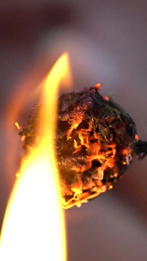 Macro and Slow Motion of a Burning Cannabis Joint Video stock 283388042