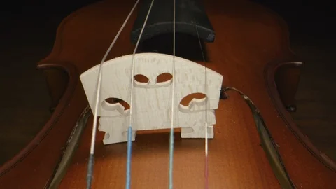 Macro angle sliding up the neck of a violin. Stock-Footage 120819908