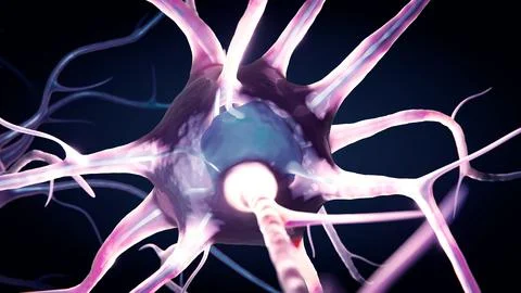 Macro Animation Neurons in the Brain. Cells Sending Electrical and Chemical.. Stock Illustration