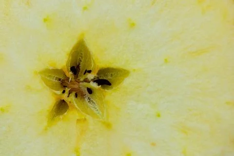 Macro of apple core cross section 스톡 사진