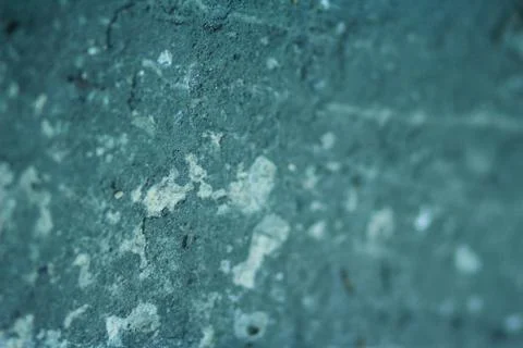 Macro asphalt Fotos Stock