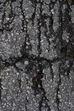 Macro asphalt texture. Stock Photos