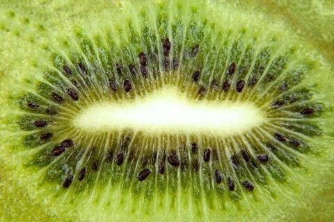 Macro background from green kiwi slice Stock Photos
