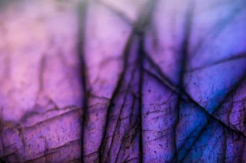 Macro background labradorite 库存照片