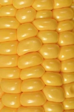 Macro background pattern texture of bright yellow raw corn kernels Stock Photos