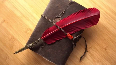 Macro Background of Saved Medieval Book Stock Footage 331465344