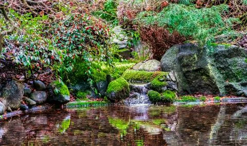Macro background of small park laguna with a pond and stones Stock Photos