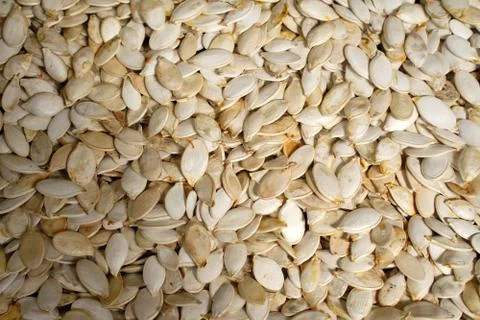 Macro background texture of dried pumpkin seeds Stock Photos